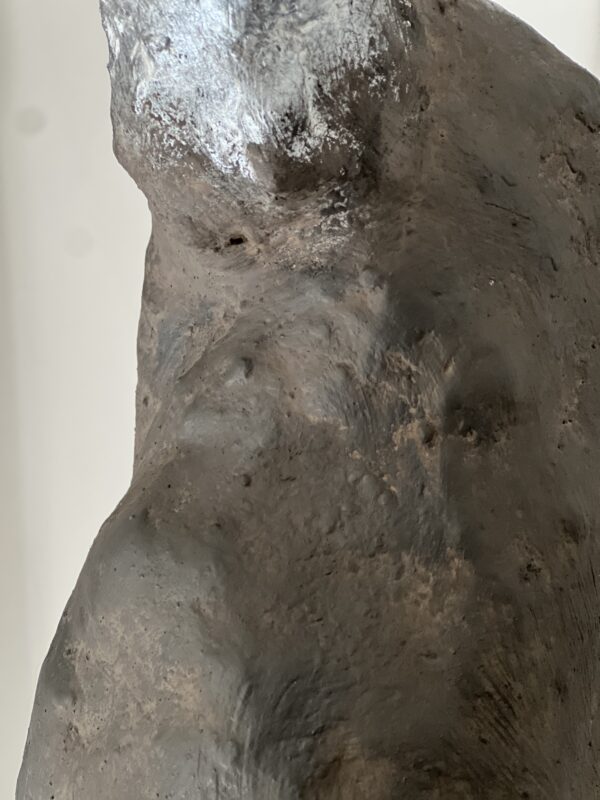 LA PENITENTE – Image 6